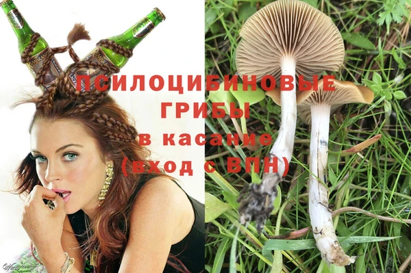 MESCALINE Богородск