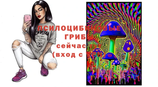 кристаллы Богородицк