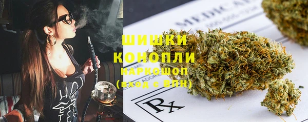 PSILOCYBIN Богданович