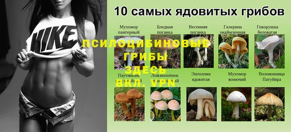 гидра Беломорск