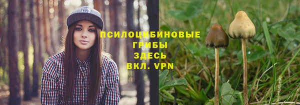 PSILOCYBIN Богданович