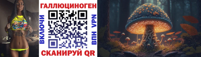 Псилоцибиновые грибы ЛСД  купить наркоту  Навашино 